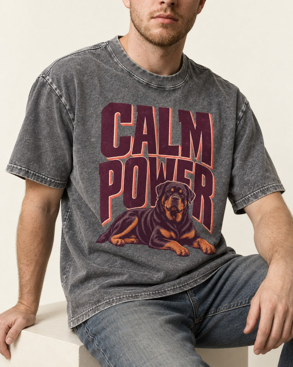 Rottweiler Calm Power Resting Dog Graphic Washed Tee in Gray, worn by a seated model