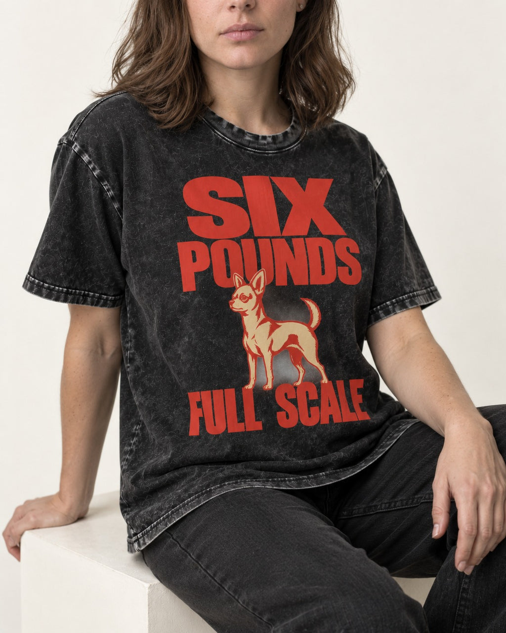 Chihuahua Six Pounds Full Scale Typographic Graphic Washed Tee in Black, worn by a seated model