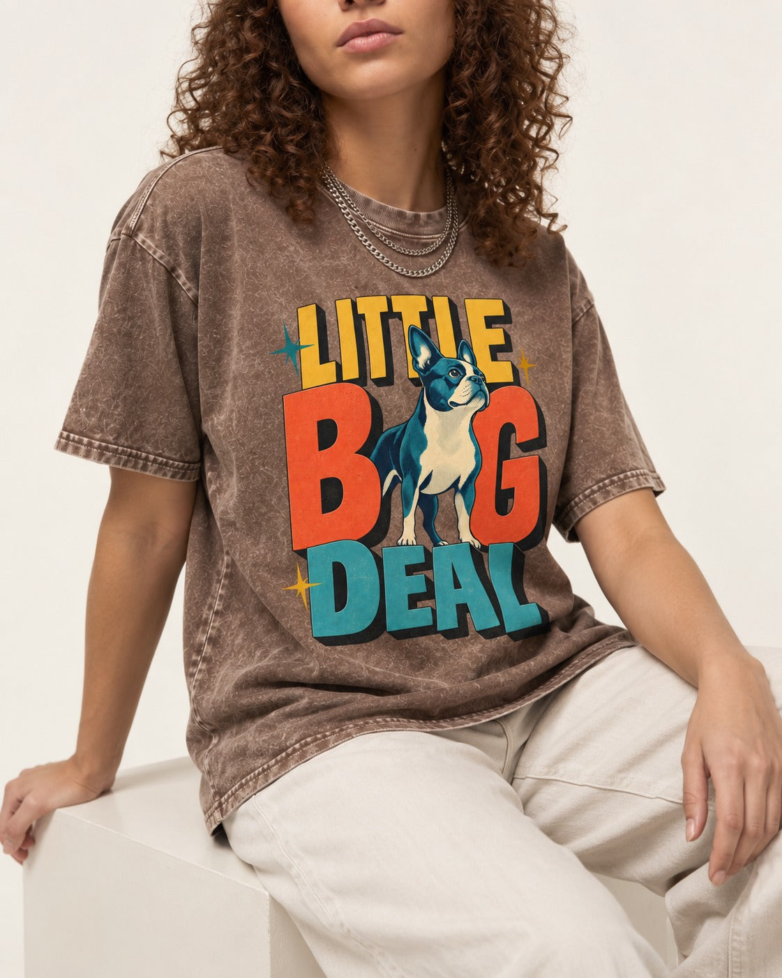 Boston Terrier Little Big Deal Washed Tee in Coffee, worn by a seated model