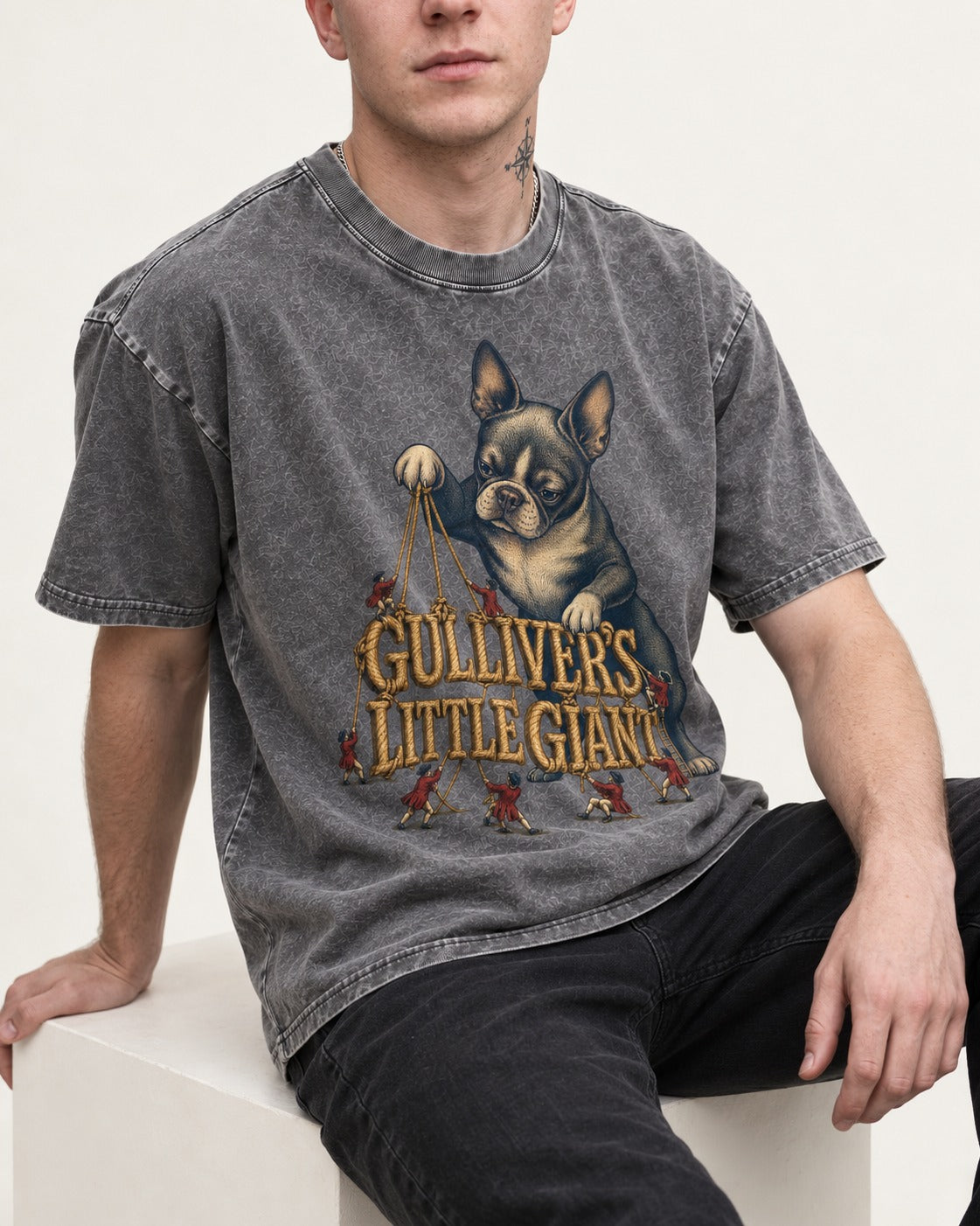 Boston Terrier Gulliver’s Little Giant Washed Tee in Gray, worn by a seated model