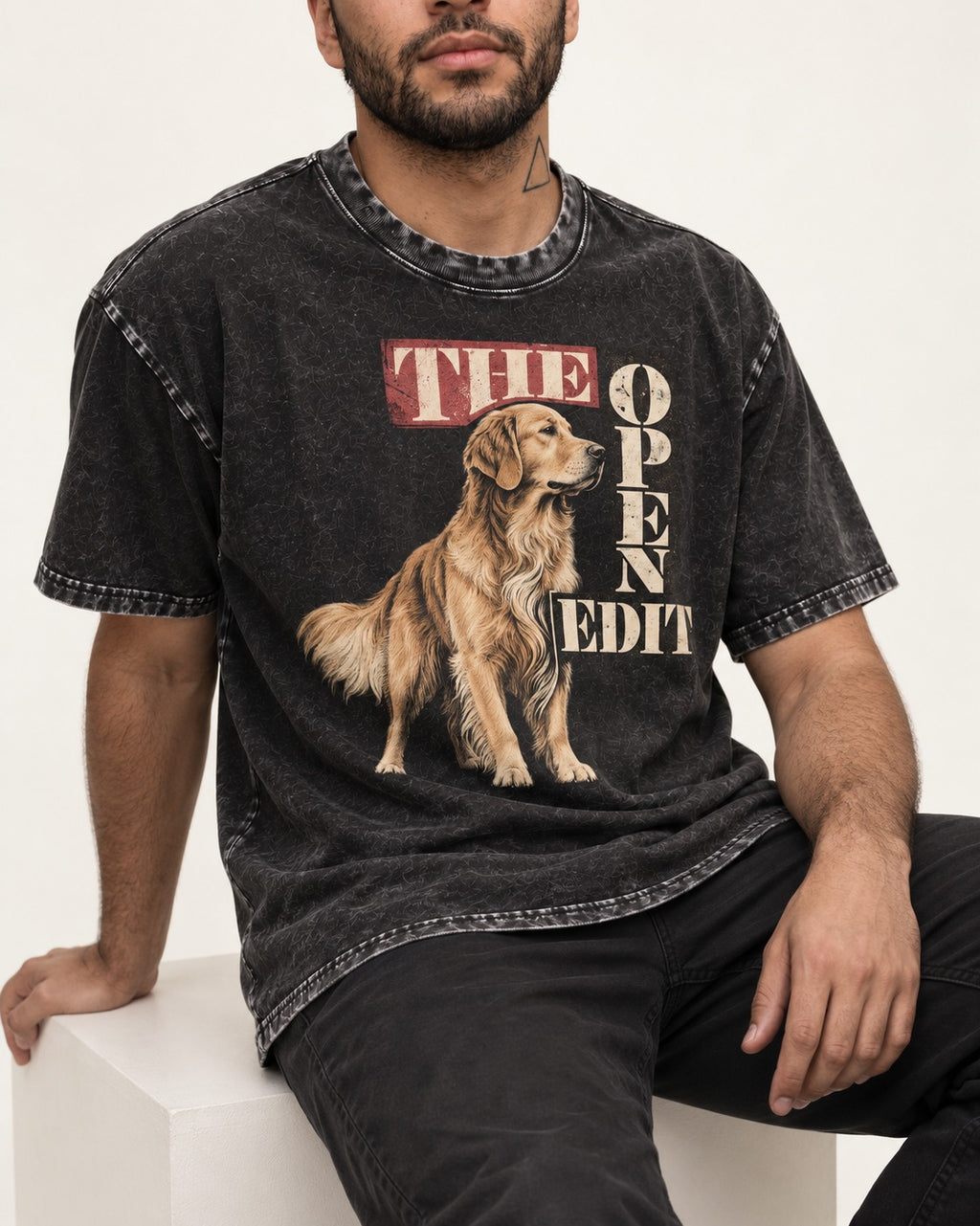 Golden Retriever The Open Edit Typography Portrait Graphic Washed Tee in Black, worn by a seated model