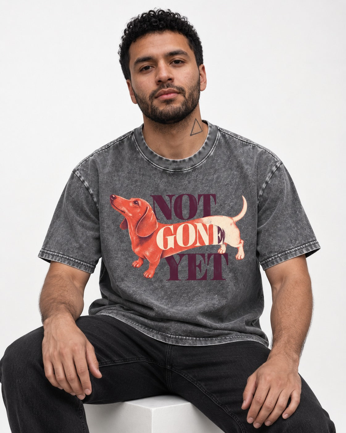 Dachshund Not Gone Yet Washed Tee in Gray, worn by a seated model