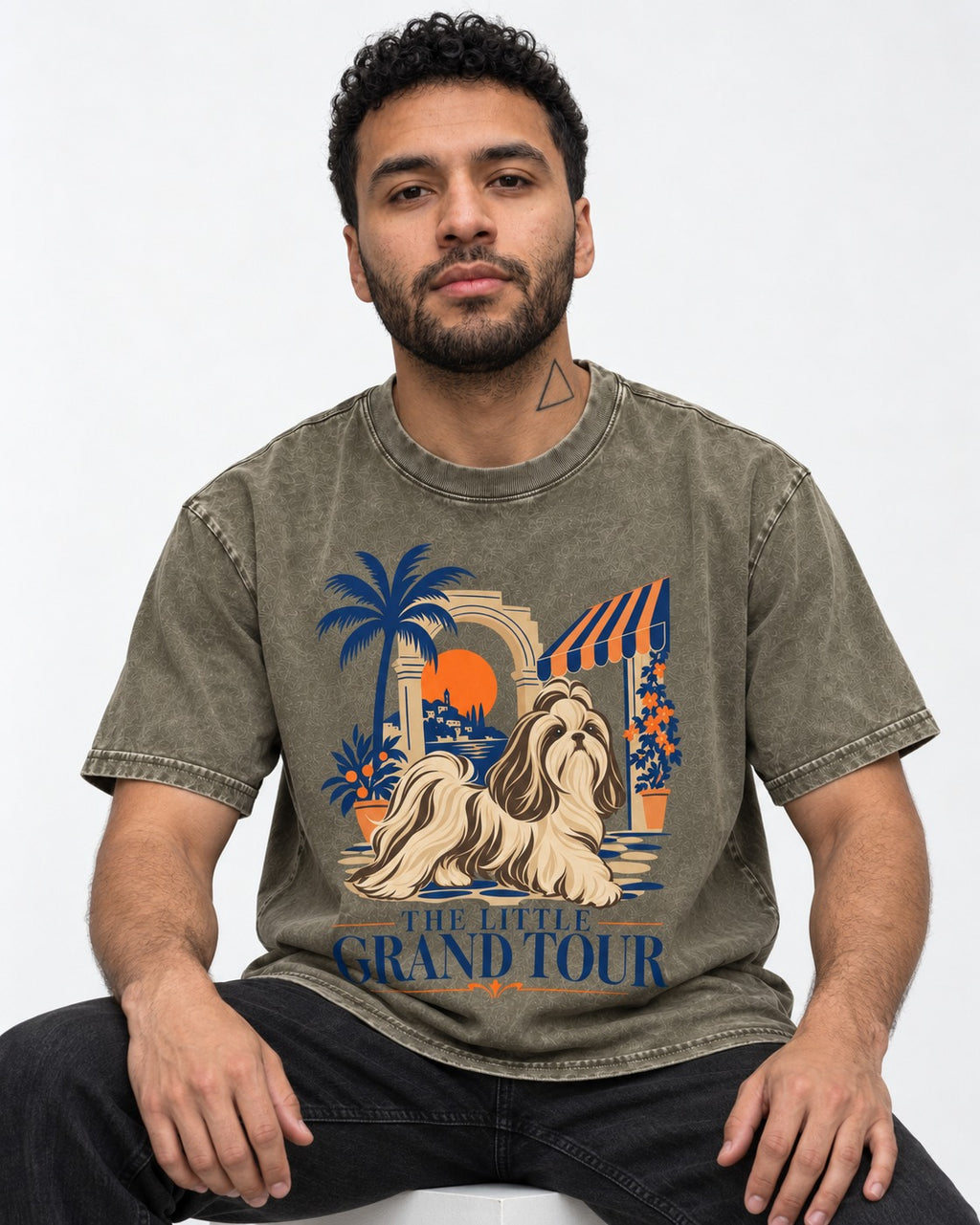 Shih Tzu The Little Grand Tour Mediterranean Courtyard Graphic Washed Tee in Army Green, worn by a seated model