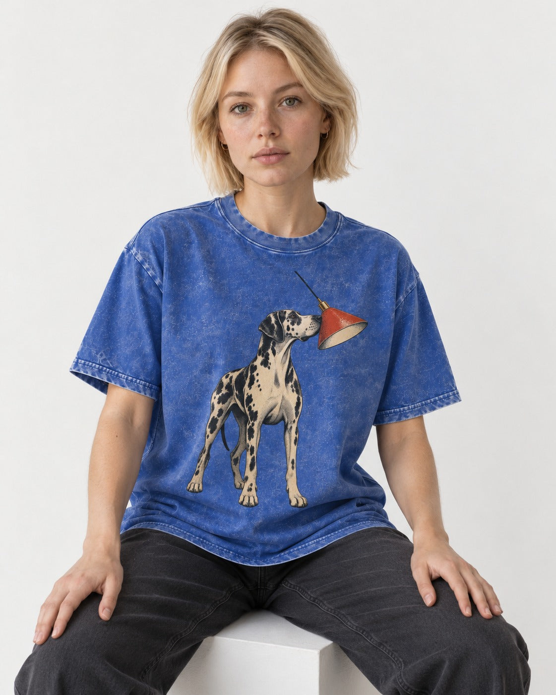 Great Dane Inspecting Hanging Lamp Graphic Washed Tee in Royal Blue, worn by a seated model