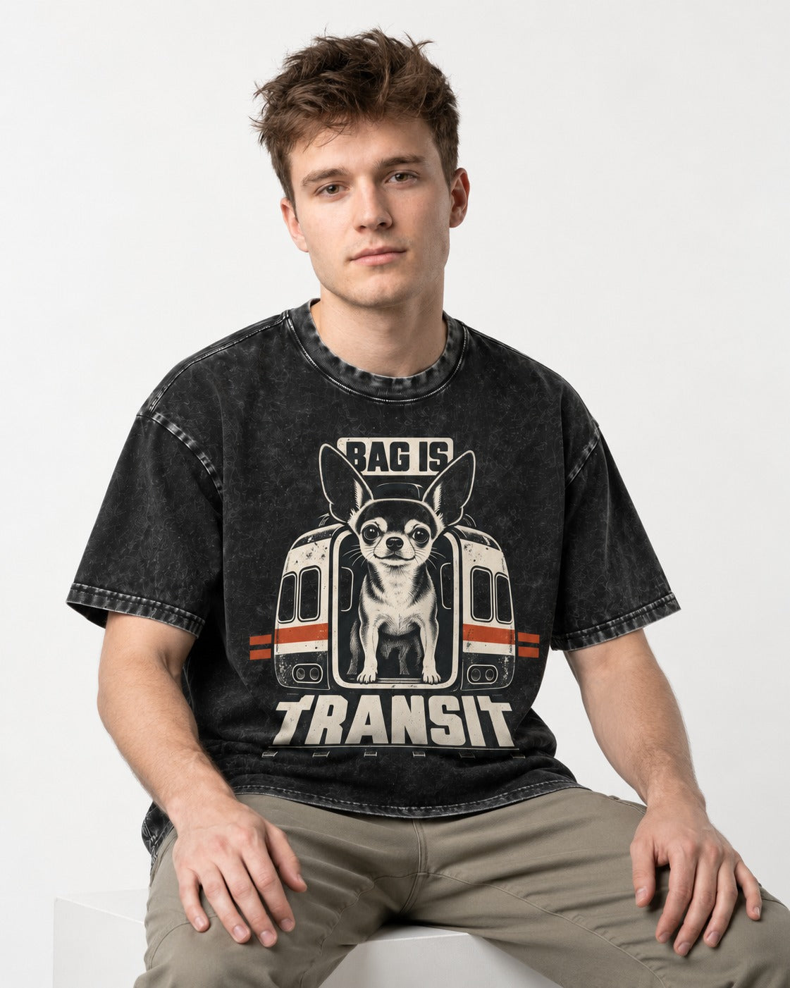 Chihuahua Bag Is Transit Train Front Graphic Washed Tee in Black, worn by a seated model