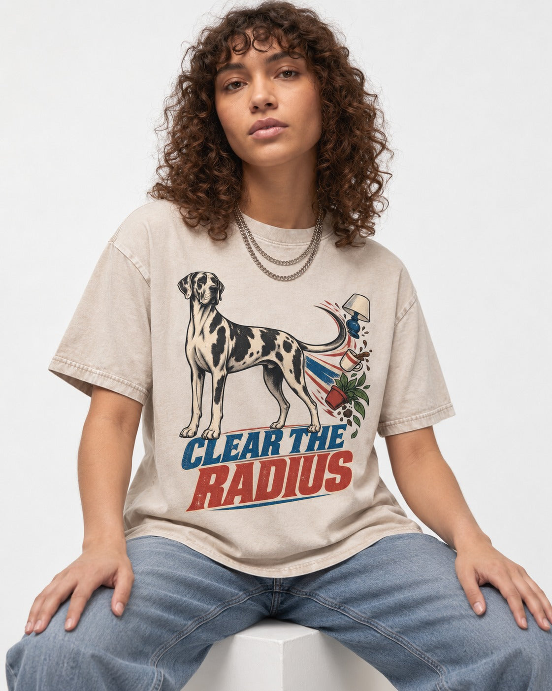 Great Dane Clear the Radius Washed Tee in Apricot, worn by a seated model