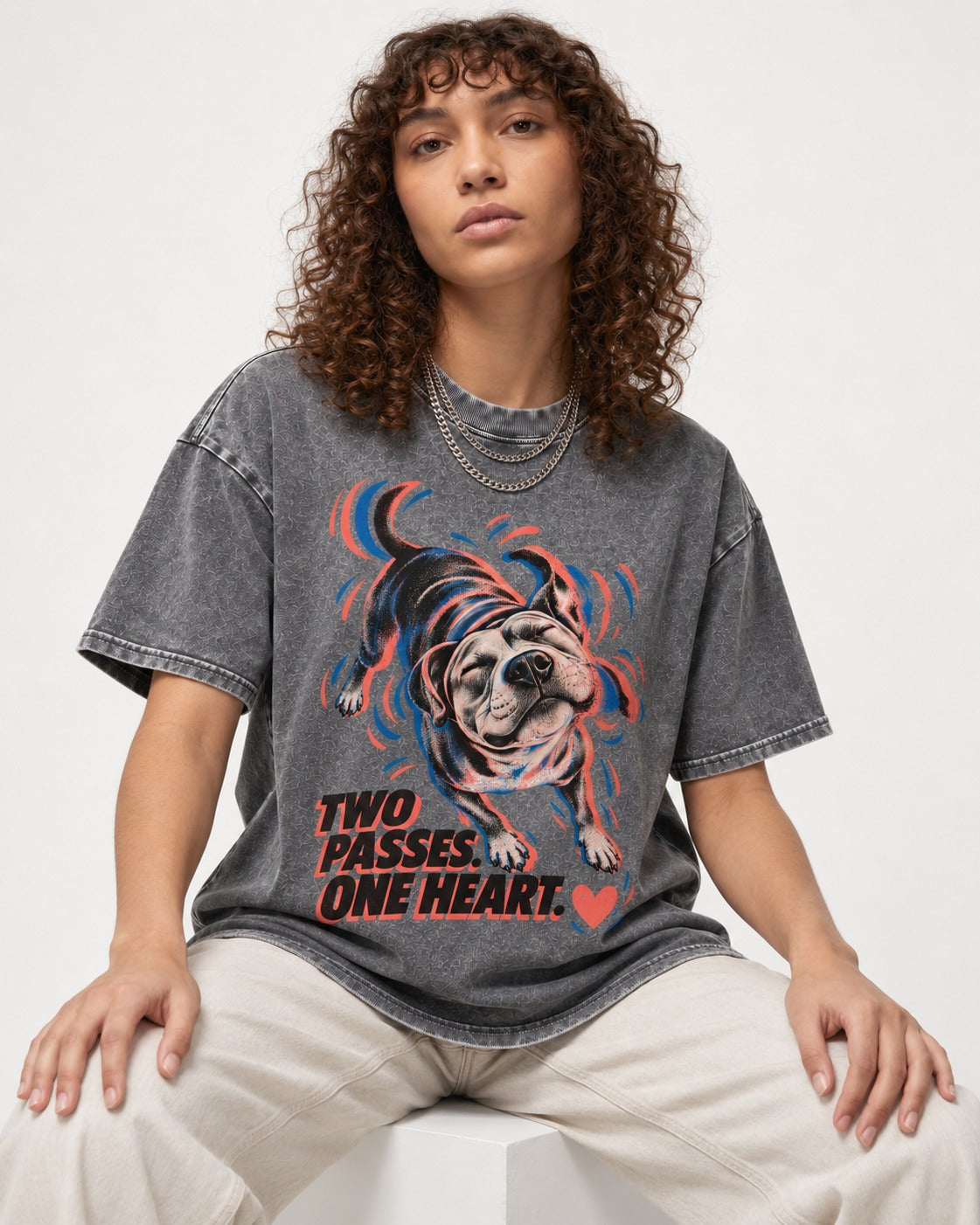 Two Passes One Heart Pitbull Washed Tee in Gray, worn by a seated model