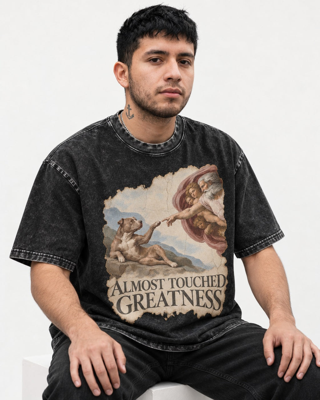 Pitbull Almost Touched Greatness Creation Parody Graphic Washed Tee in Black, worn by a seated model