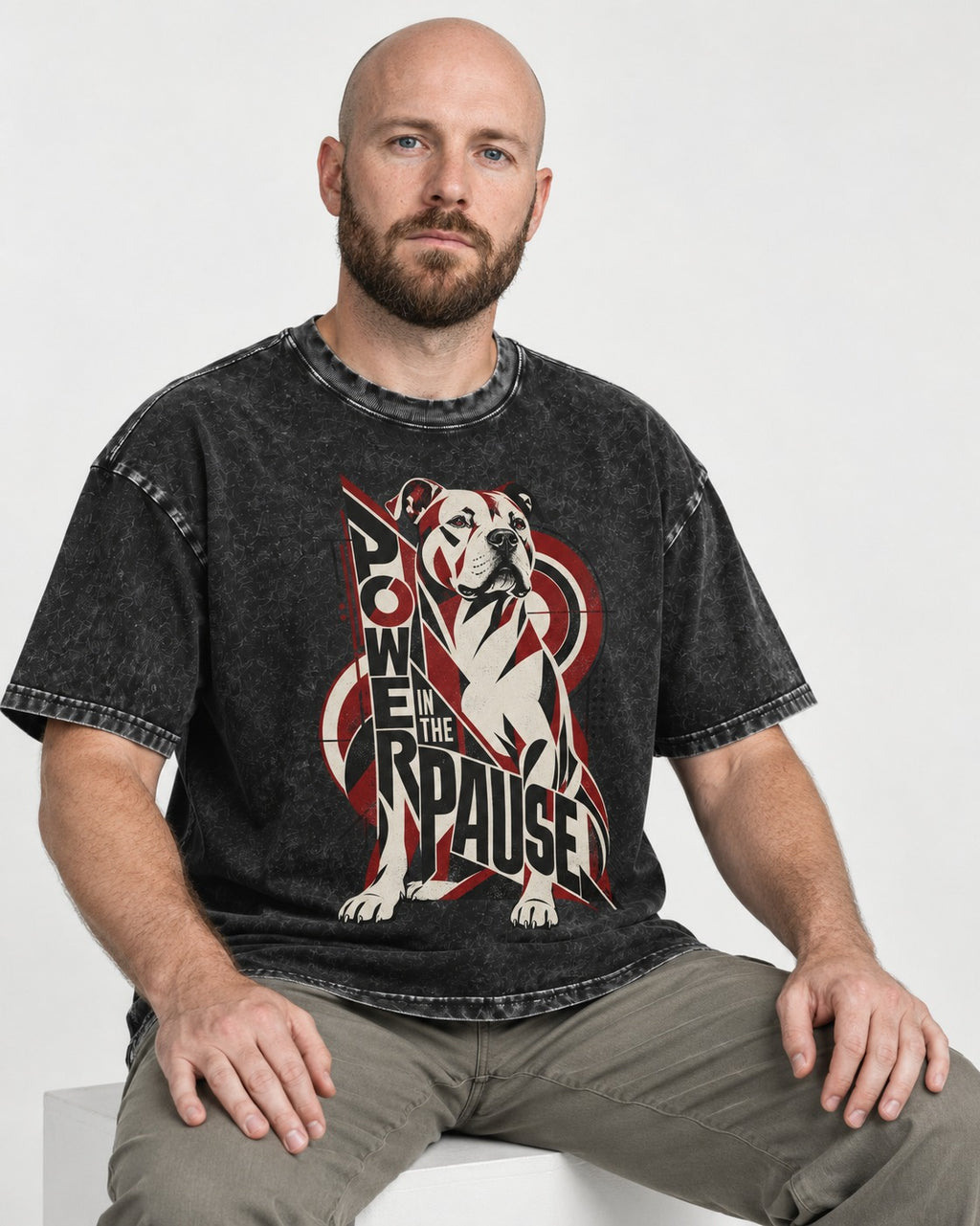 Pitbull Power in the Pause Geometric Graphic Washed Tee in Black, worn by a seated model