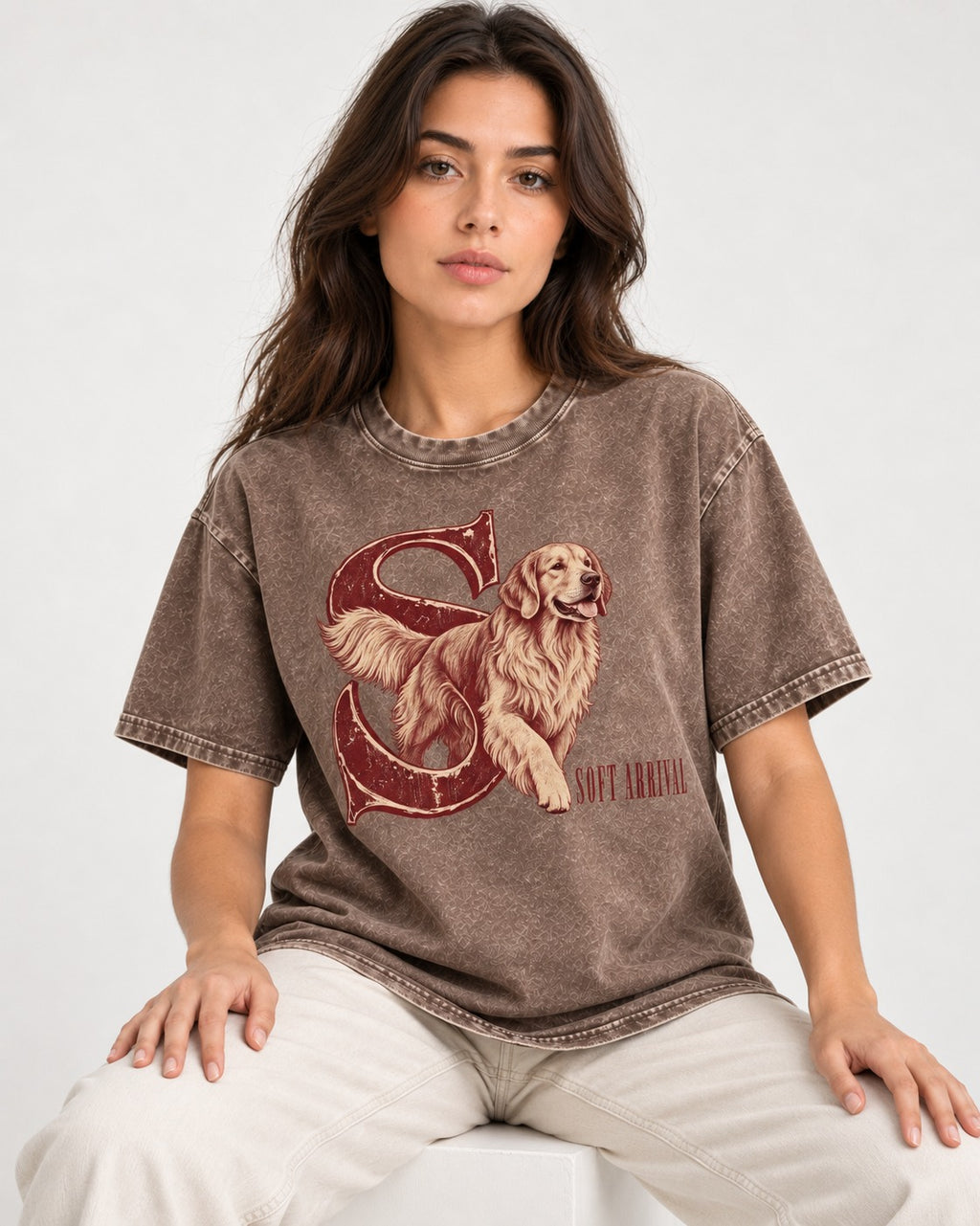Soft Arrival Golden Retriever Washed Tee in Coffee, worn by a seated model