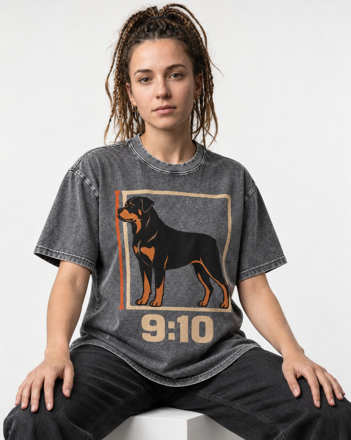 Nine Ten Rottweiler Proportion Frame Graphic Washed Tee in Gray, worn by a seated model