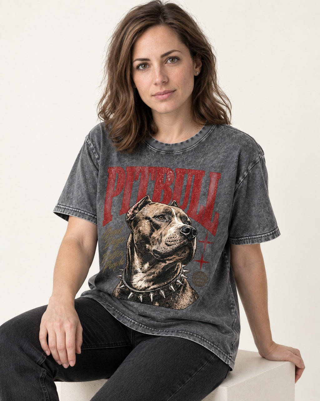 Pitbull Makes Better People Washed Tee in Gray, worn by a seated model