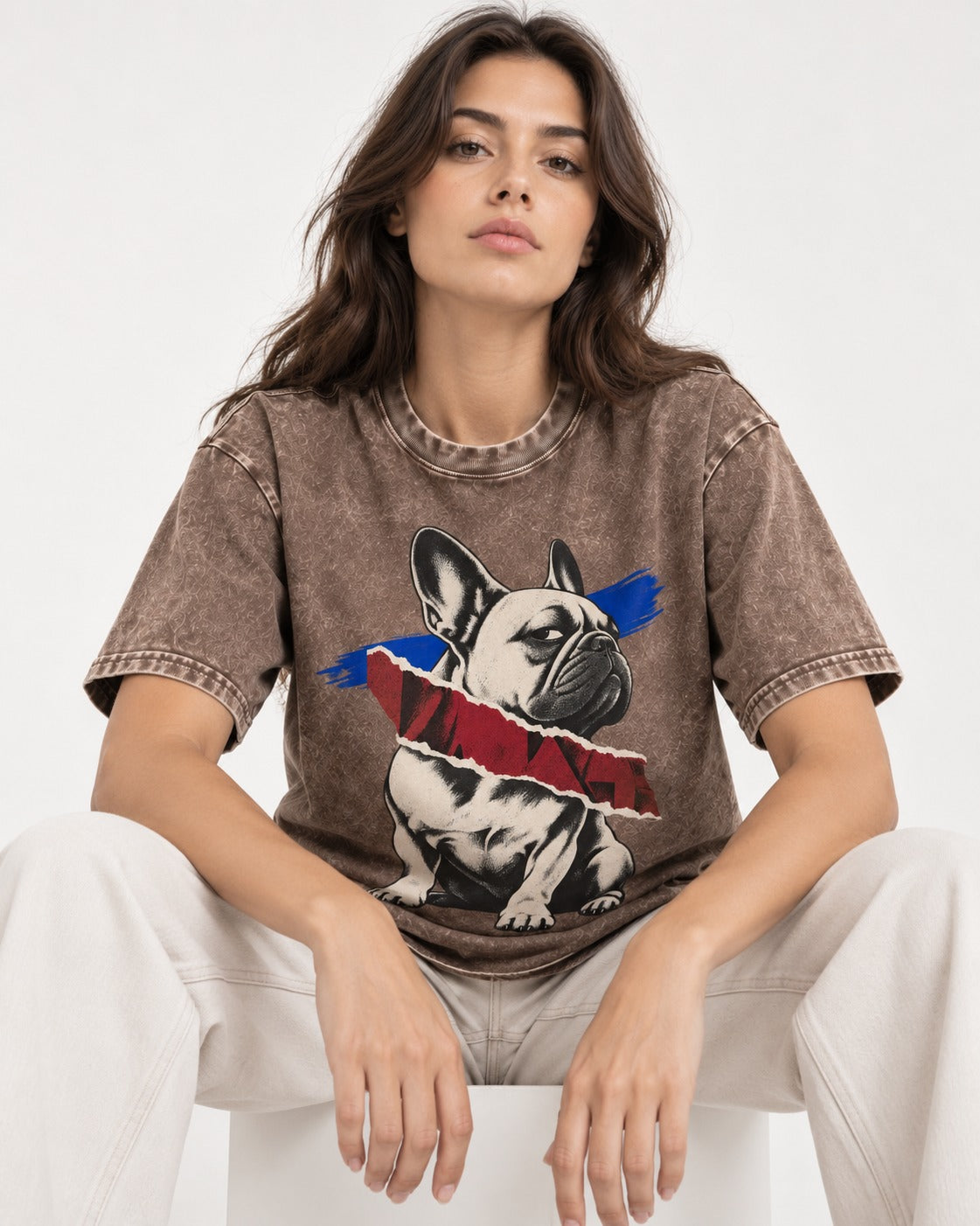 Frenchie Punk Washed Tee in Coffee, worn by a seated model
