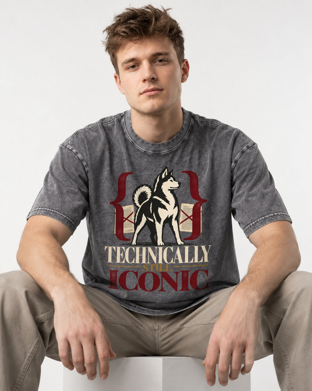 Husky Technically Still Iconic Editorial Frame Graphic Washed Tee in Gray, worn by a seated model
