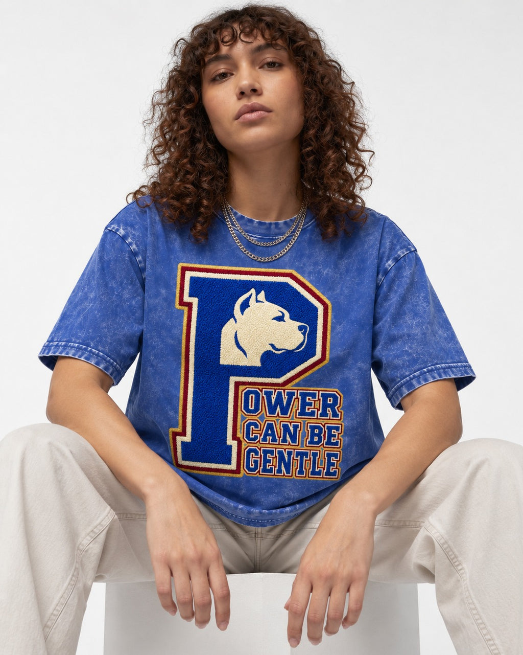 Pitbull Power Can Be Gentle Varsity Graphic Washed Tee in Royal Blue, worn by a seated model