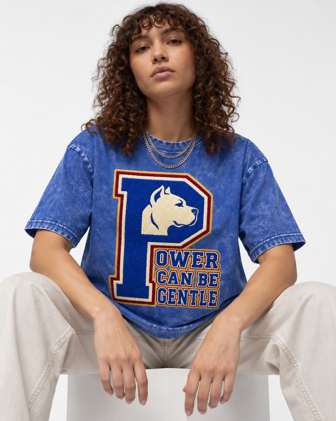 Pitbull Power Can Be Gentle Varsity Graphic Washed Tee in Royal Blue, worn by a seated model