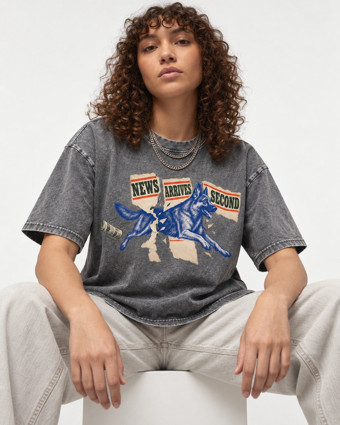 News Arrives Second German Shepherd Dog Washed Tee in Gray, worn by a seated model