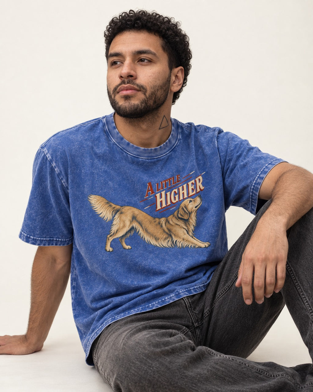 Golden Retriever A Little Higher Play Bow Graphic Washed Tee in Royal Blue, worn by a seated model