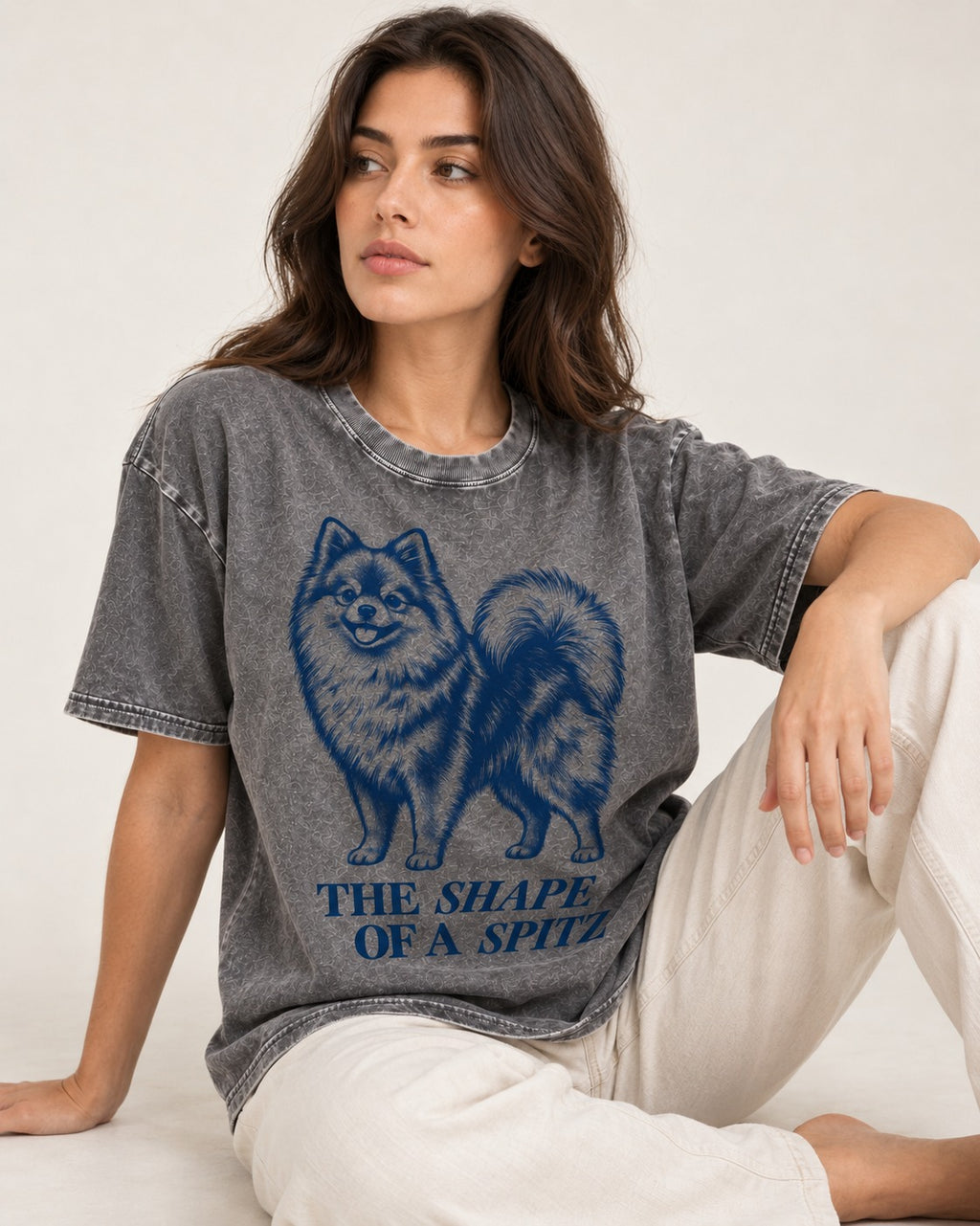 The Shape of a Pomeranian Washed Tee in Gray, worn by a seated model