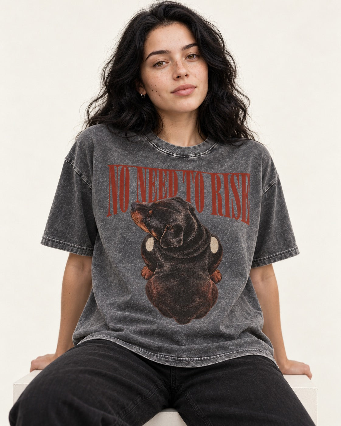 Rottweiler No Need to Rush Overhead Resting Graphic Washed Tee in Gray, worn by a seated model