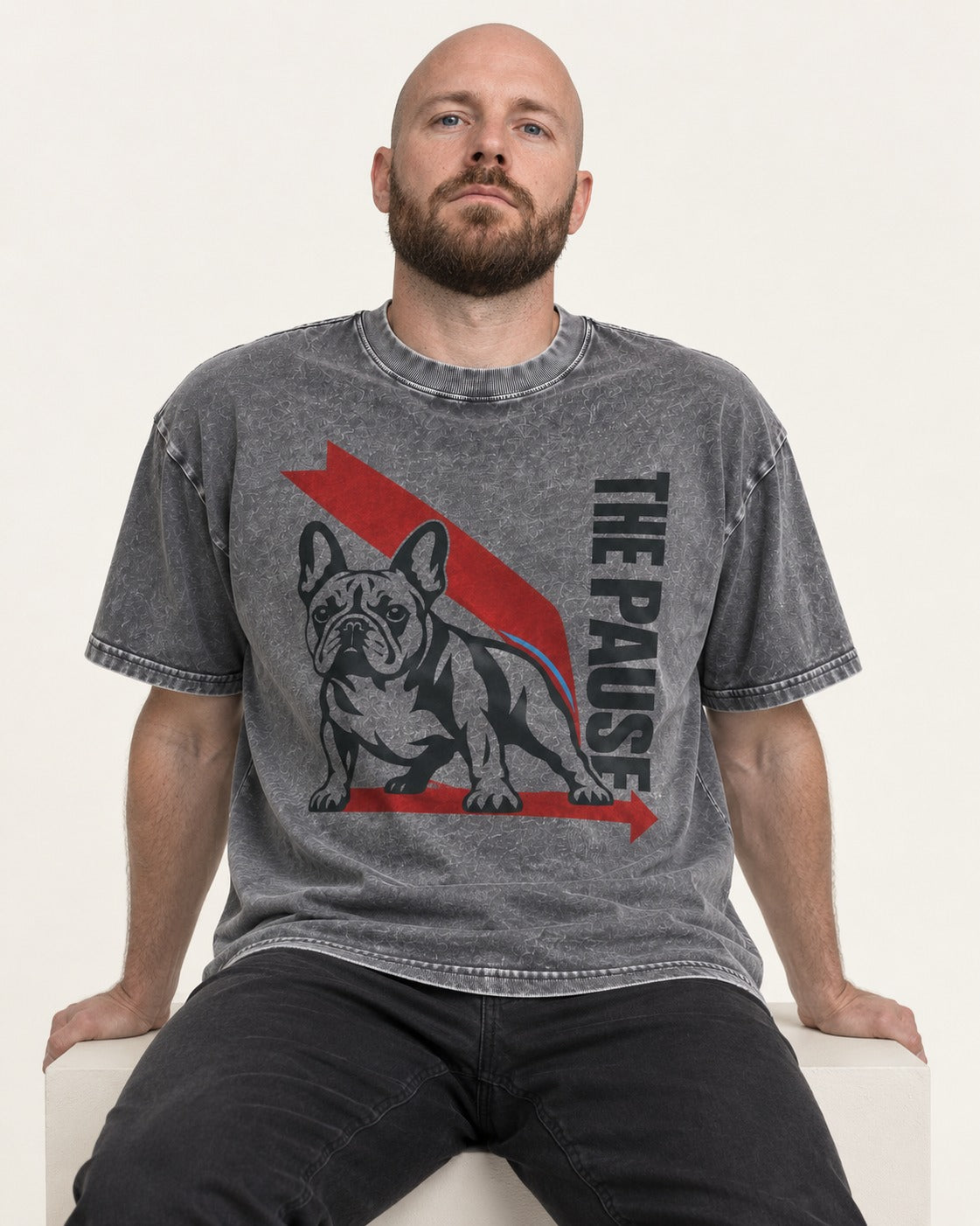The Frenchie Pause Washed Tee in Gray, worn by a seated model