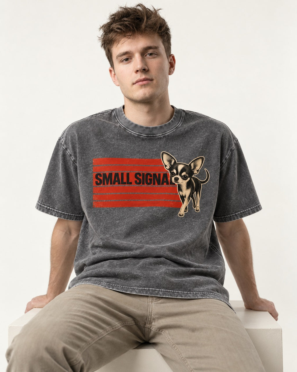 Small Signal Chihuahua Washed Tee in Gray, worn by a seated model