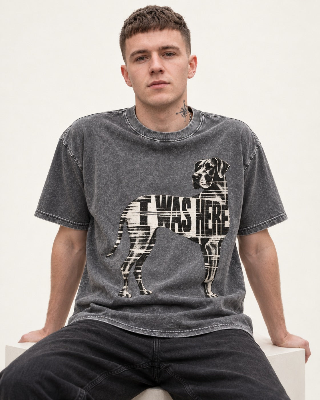 Great Dane I Was Here Plaid Silhouette Graphic Washed Tee in Gray, worn by a seated model