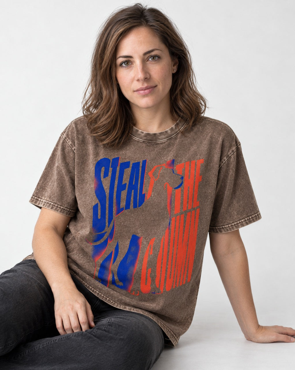 Steal the Show Great Dane Washed Tee in Coffee, worn by a seated model