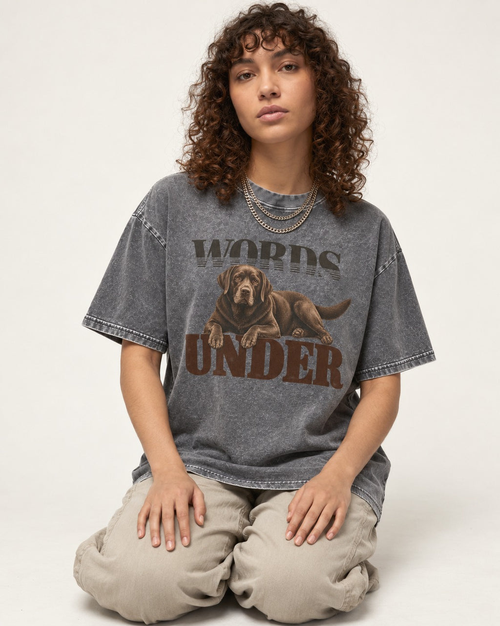 Words Under Labrador Retriever Washed Tee in Gray, worn by a seated model