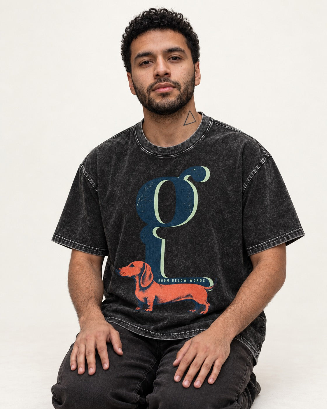 Dachshund Room Below Words Lowercase G Graphic Washed Tee in Black, worn by a seated model