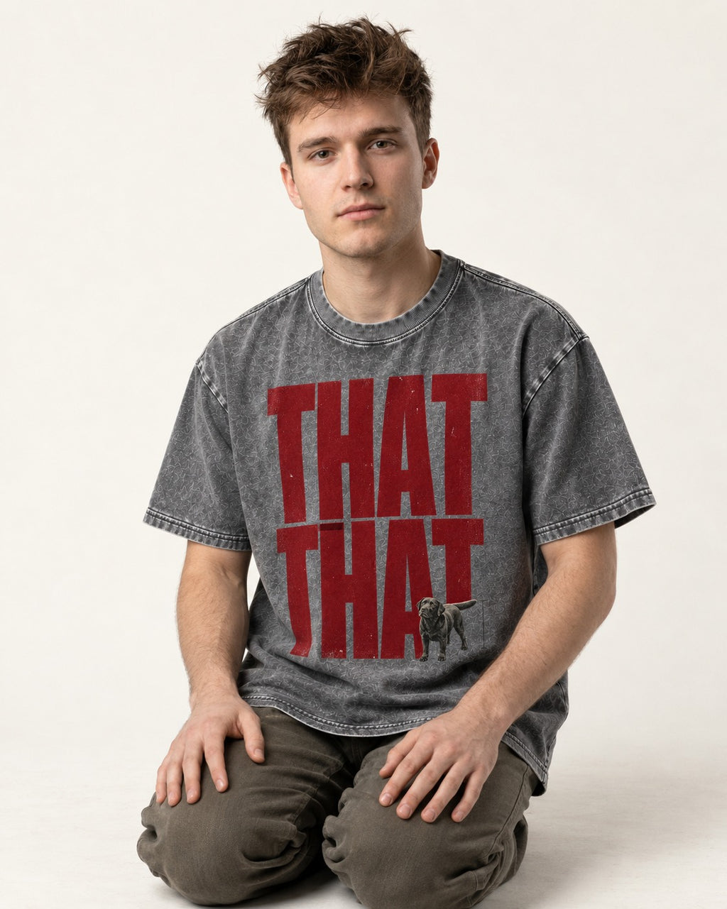 That That Labrador Retriever Washed Tee in Gray, worn by a seated model