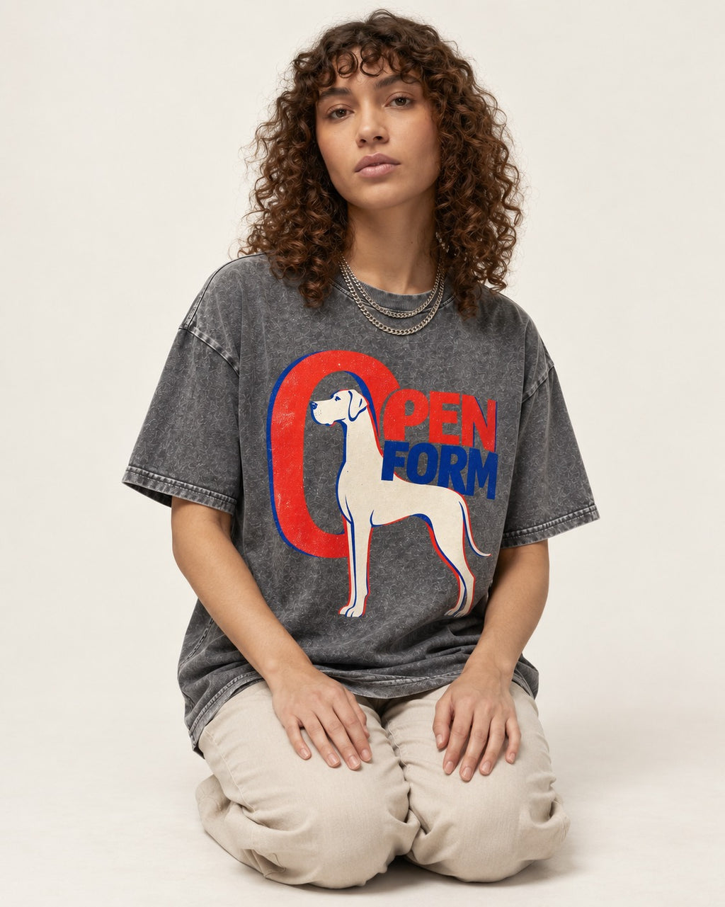 Open Form Great Dane Washed Tee in Gray, worn by a seated model