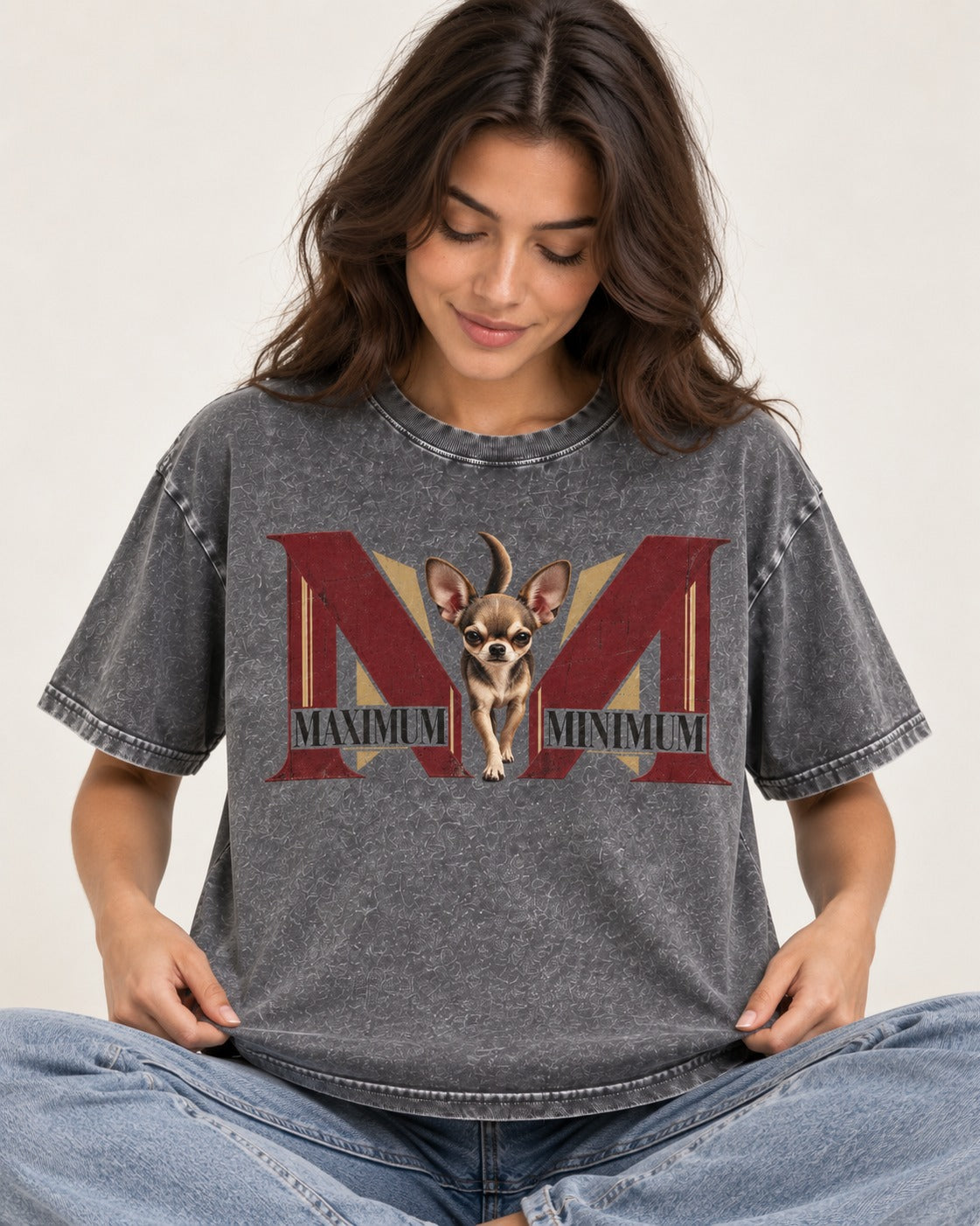 Maximum Minimum Chihuahua Washed Tee in Gray, worn by a seated model