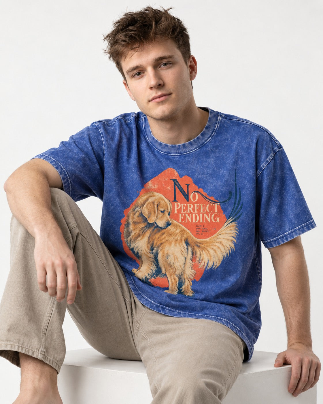 Golden Retriever No Perfect Ending Misregistration Graphic Washed Tee in Royal Blue, worn by a seated model