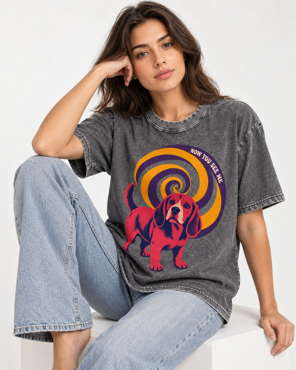 Now You See Me Beagle Spiral Washed Tee in Gray, worn by a seated model