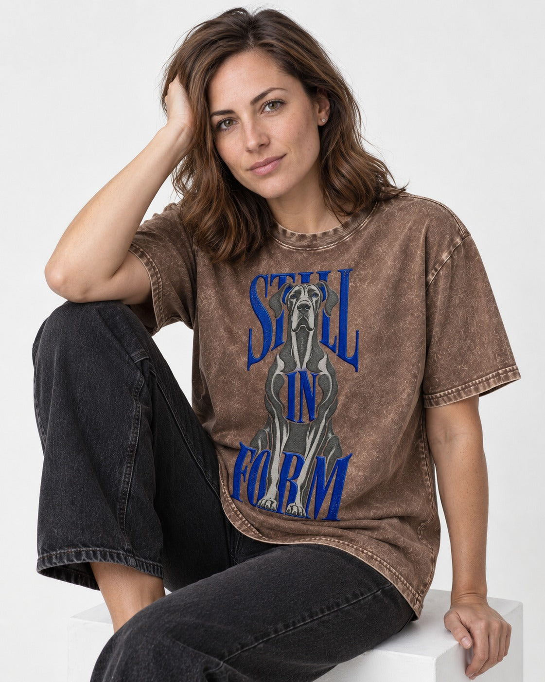 Still in Form Great Dane Washed Tee in Coffee, worn by a seated model