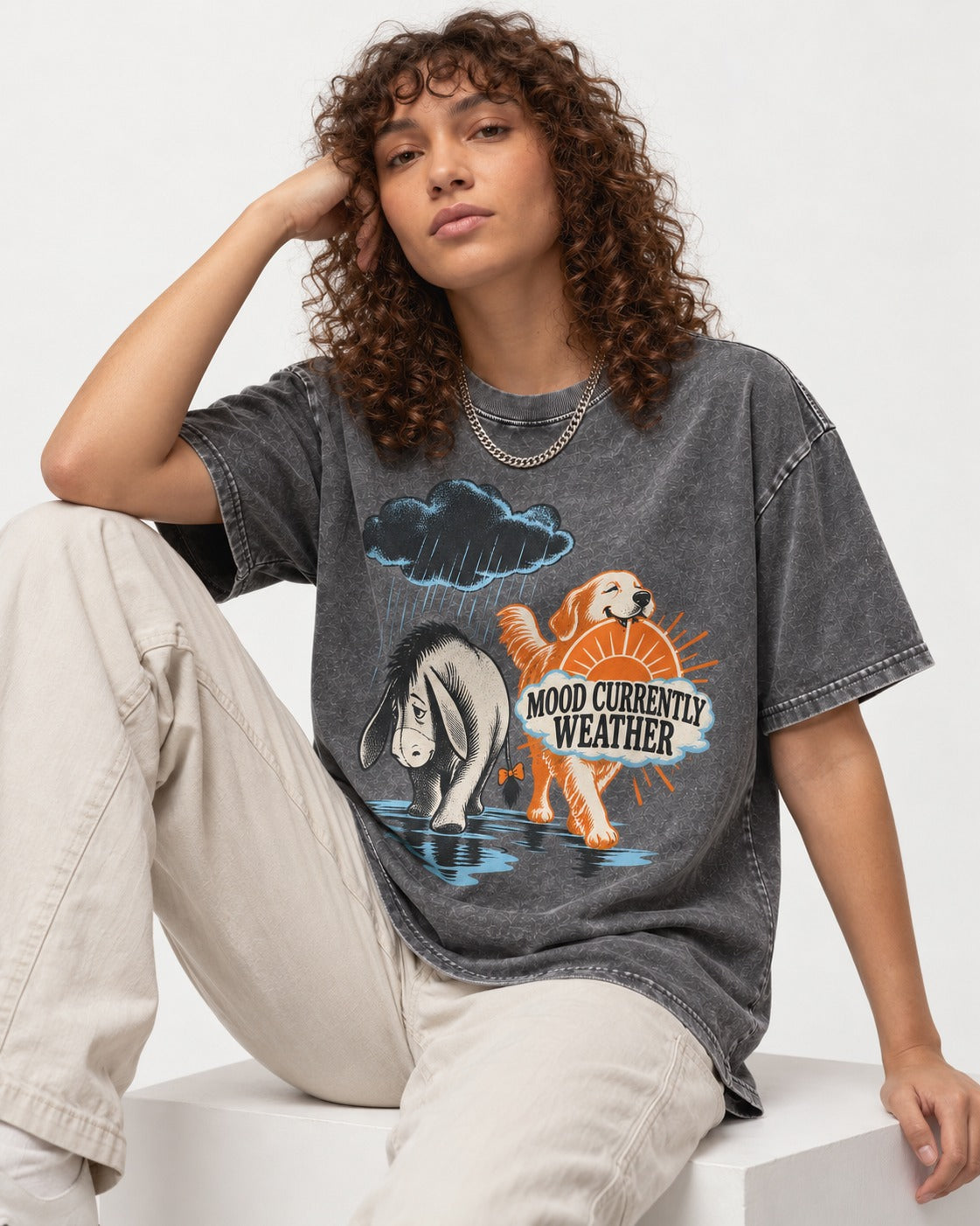 Mood Currently Golden Retriever Weather Washed Tee in Gray, worn by a seated model