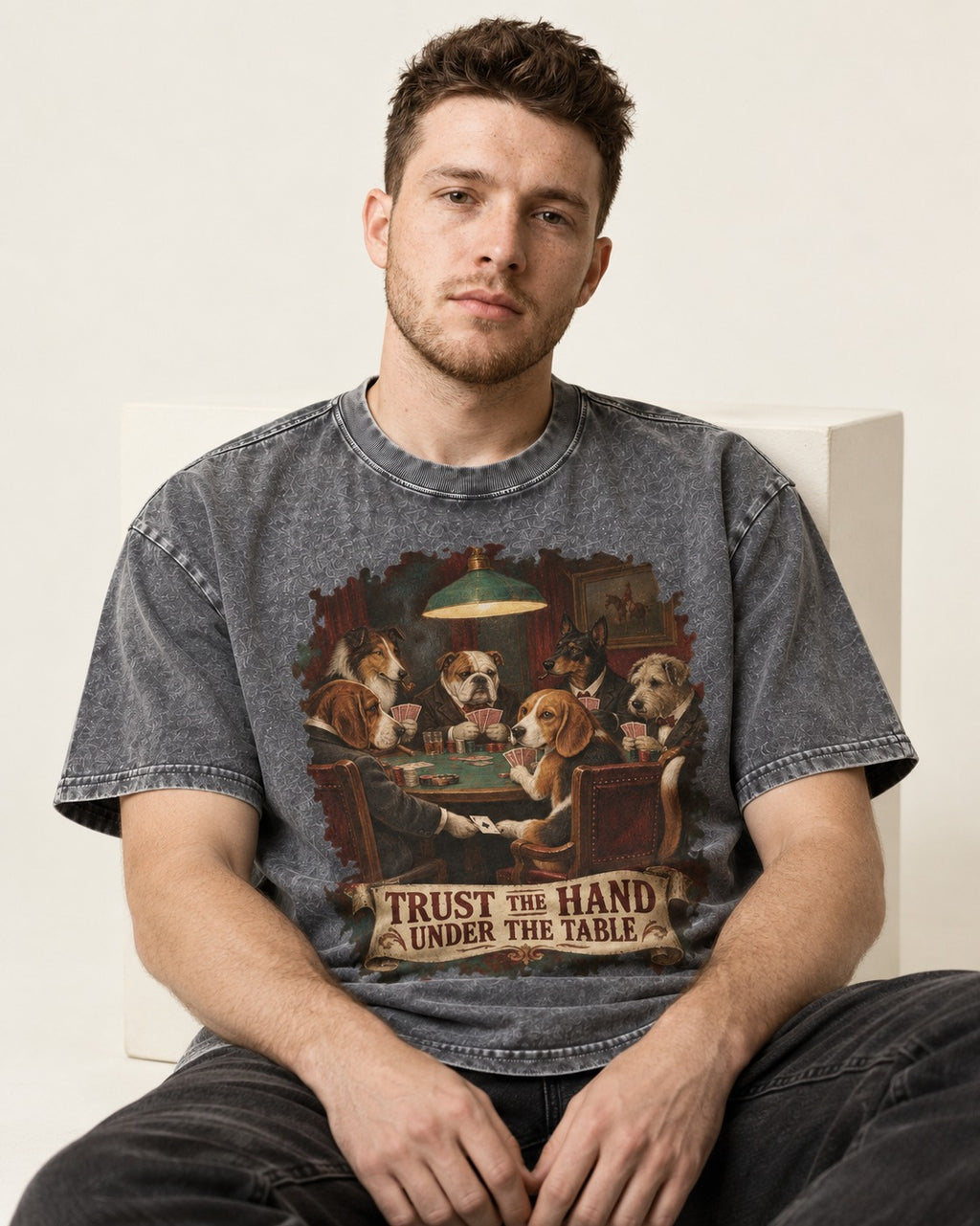 Trust The Hand Under The Table Beagle Poker Night Washed Tee in Gray, worn by a seated model