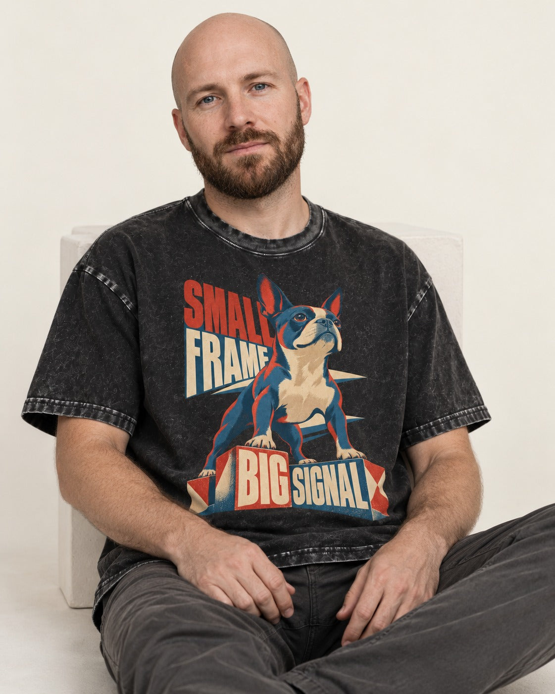 Small Frame Big Signal Boston Terrier Washed Tee in Black, worn by a seated model