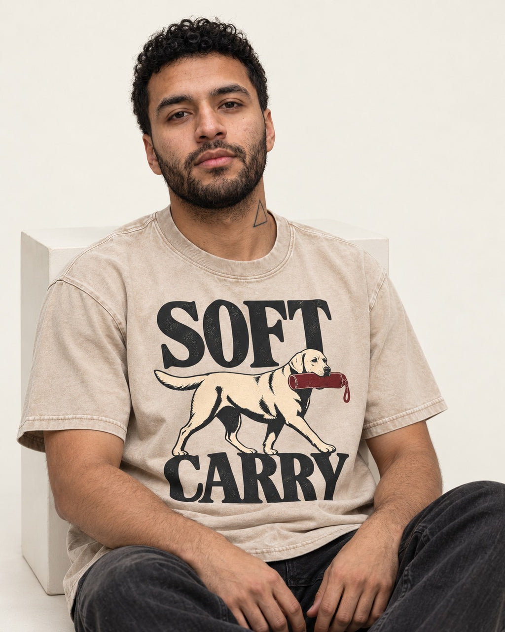 Soft Carry Labrador Retriever Washed Tee in Apricot, worn by a seated model