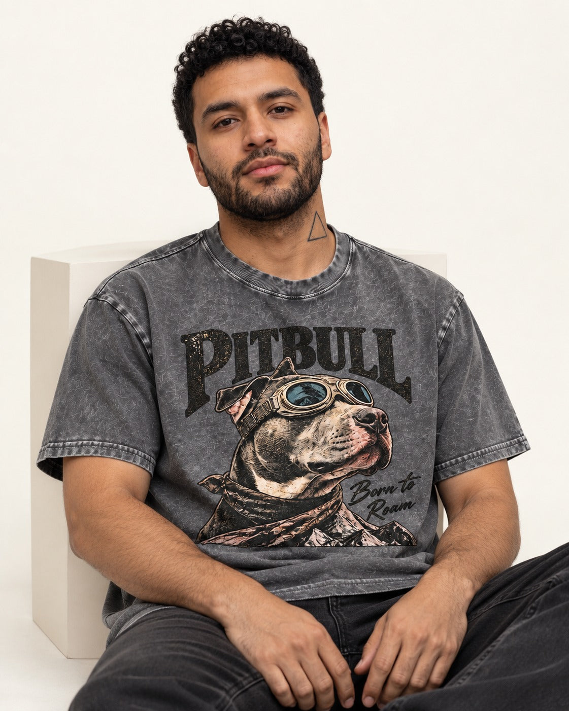 Pitbull Born to Roam Washed Tee in Gray, worn by a seated model