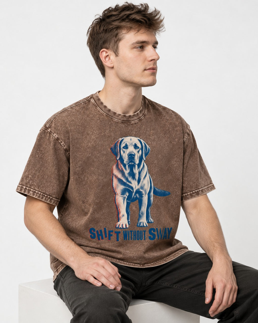 Shift Without Sway Labrador Retriever Washed Tee in Coffee, worn by a seated model