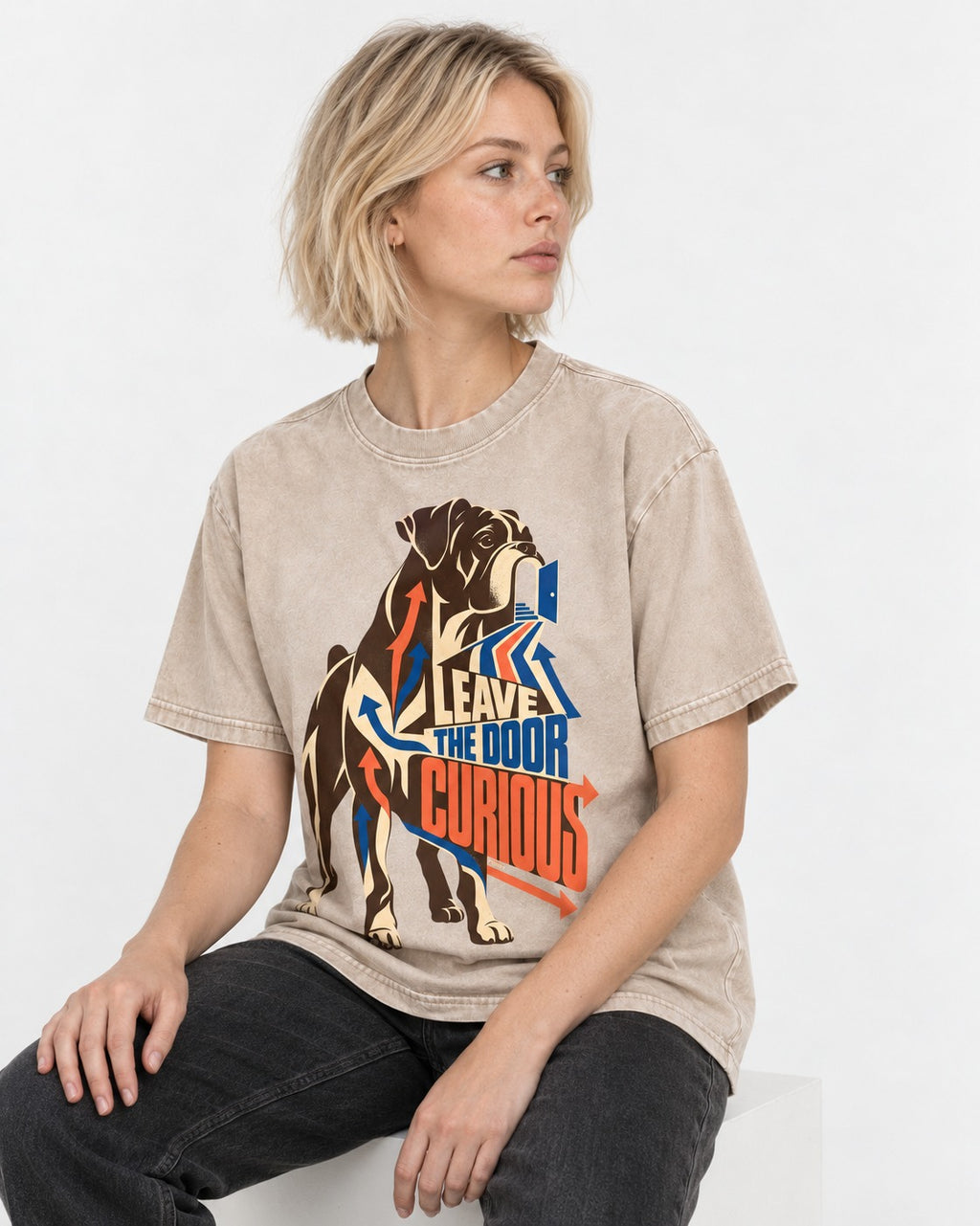 Leave the Door Curious Boxer Doorway Arrow Graphic Washed Tee in Apricot, worn by a seated model