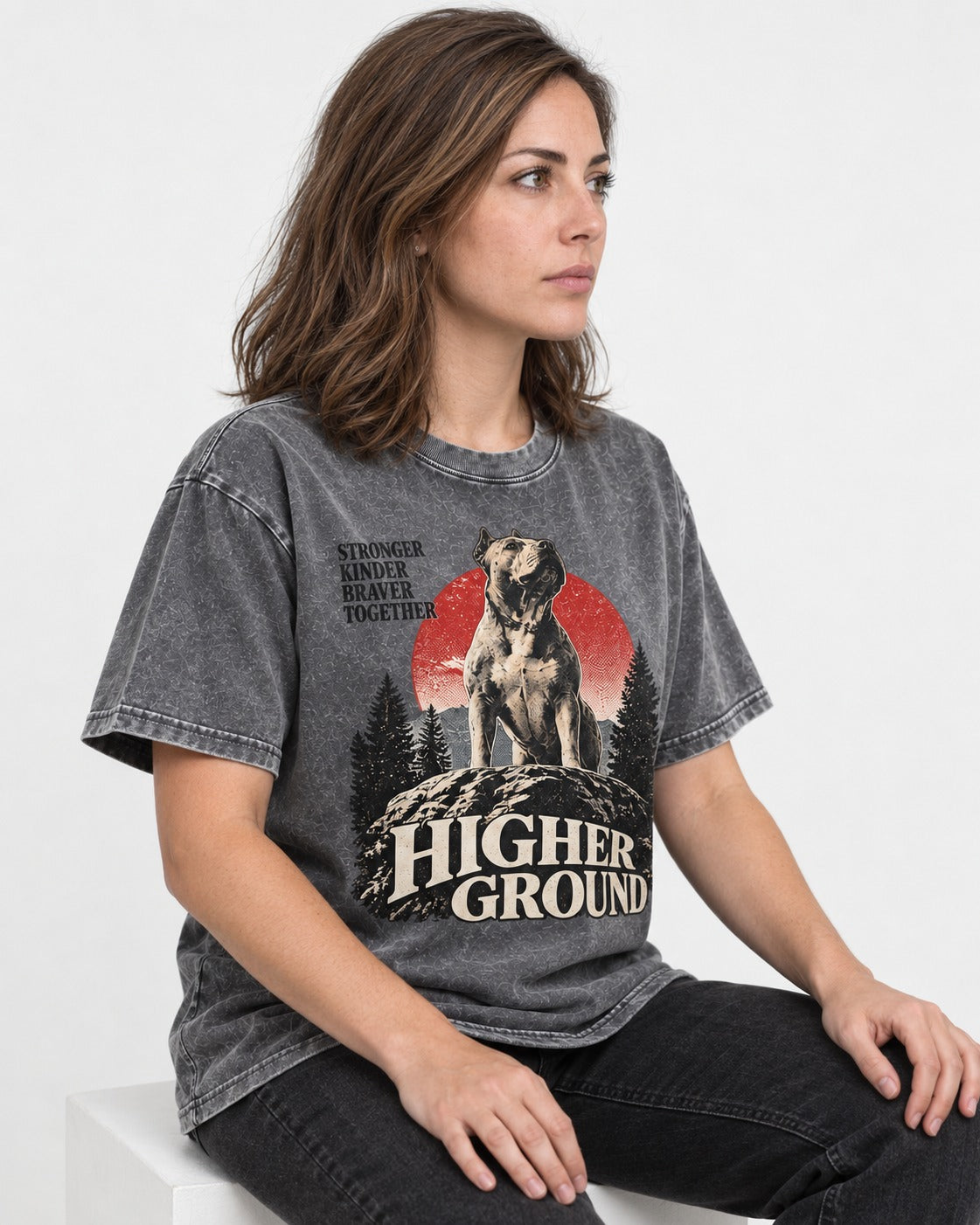 Pitbull Higher Ground Washed Tee in Gray, worn by a seated model