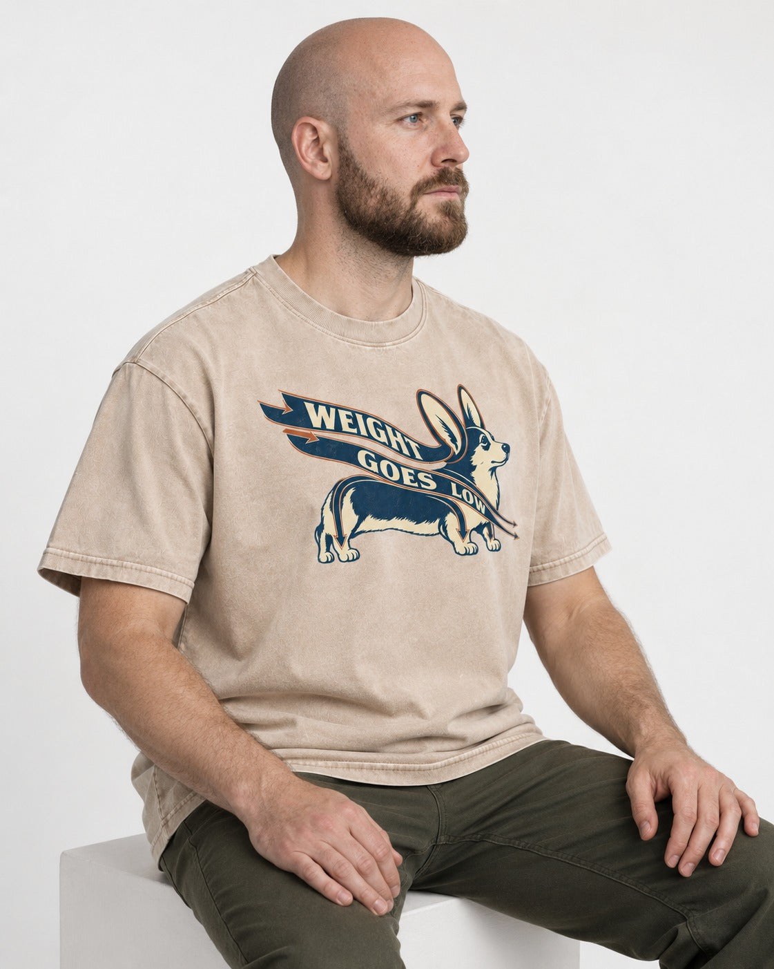 Corgi Weight Goes Low Ribbon Arrow Graphic Washed Tee in Apricot, worn by a seated model
