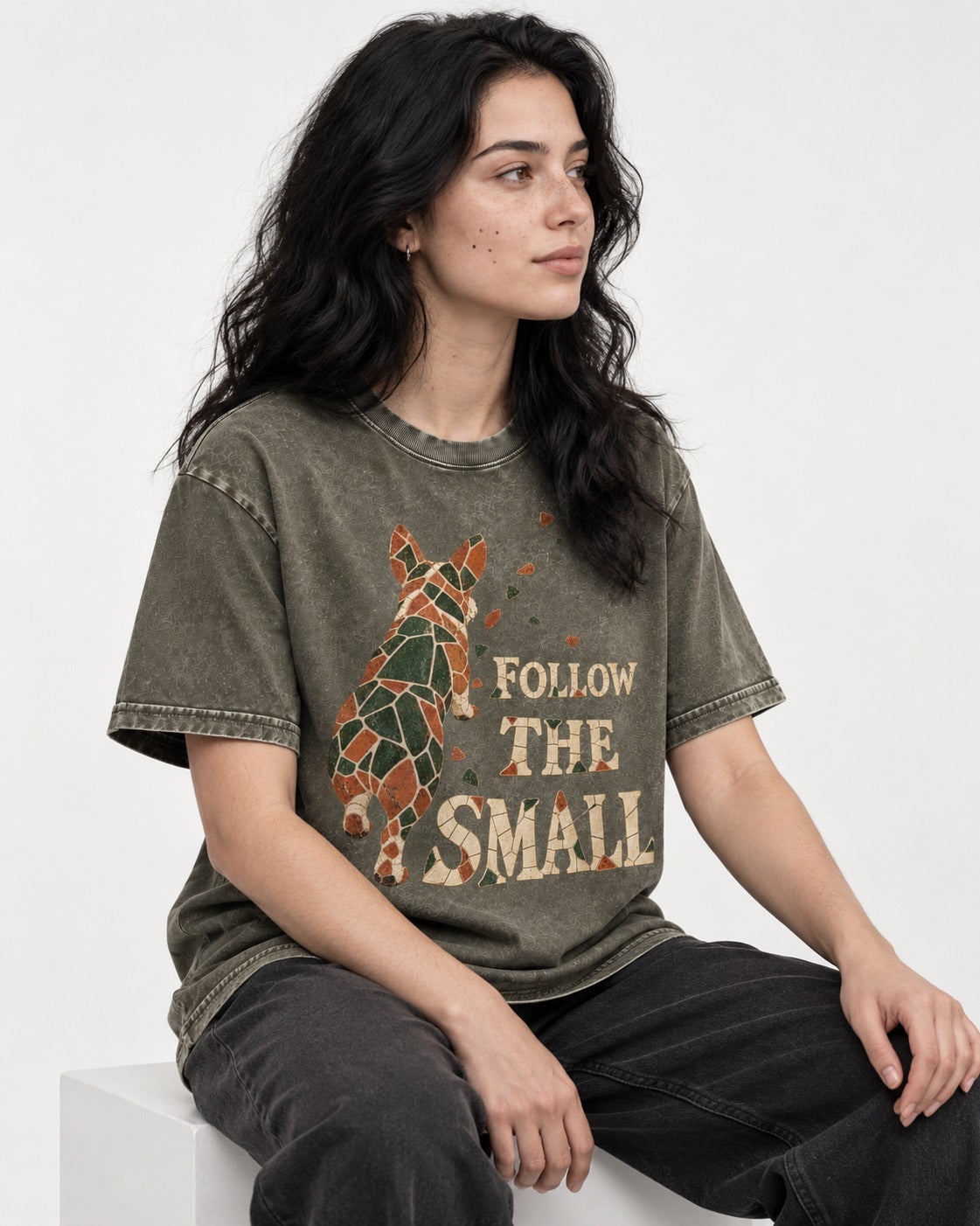Corgi Follow the Small Mosaic Washed Tee in Army Green, worn by a seated model