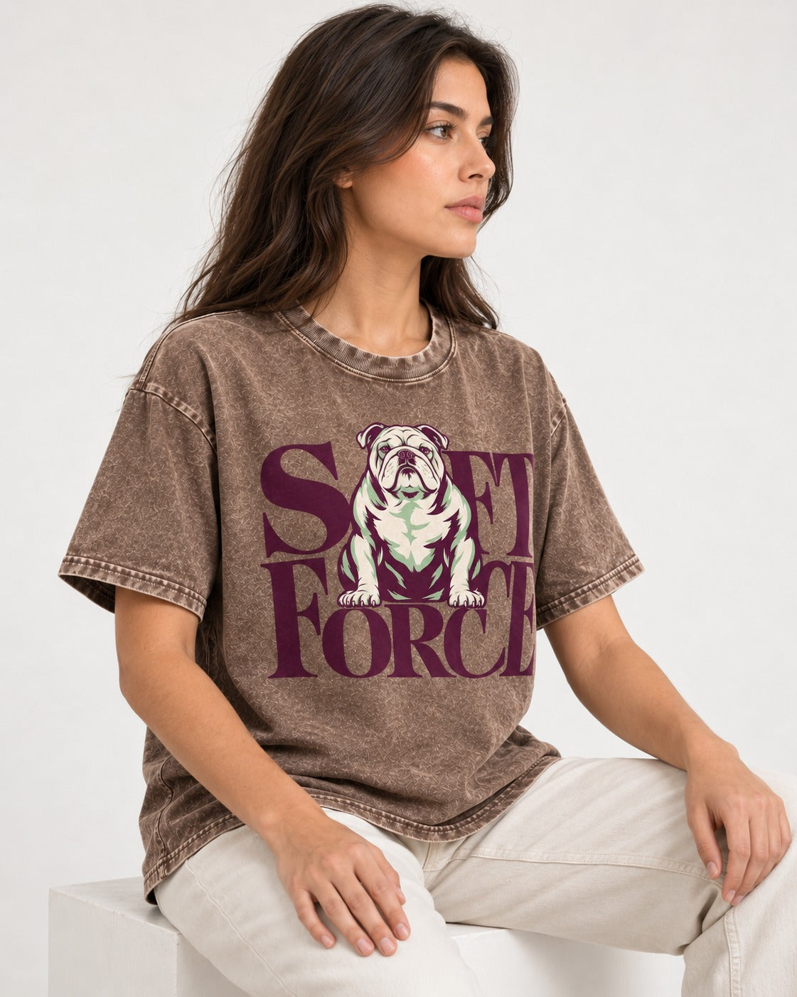 Set Force English Bulldog Washed Tee in Coffee, worn by a seated model
