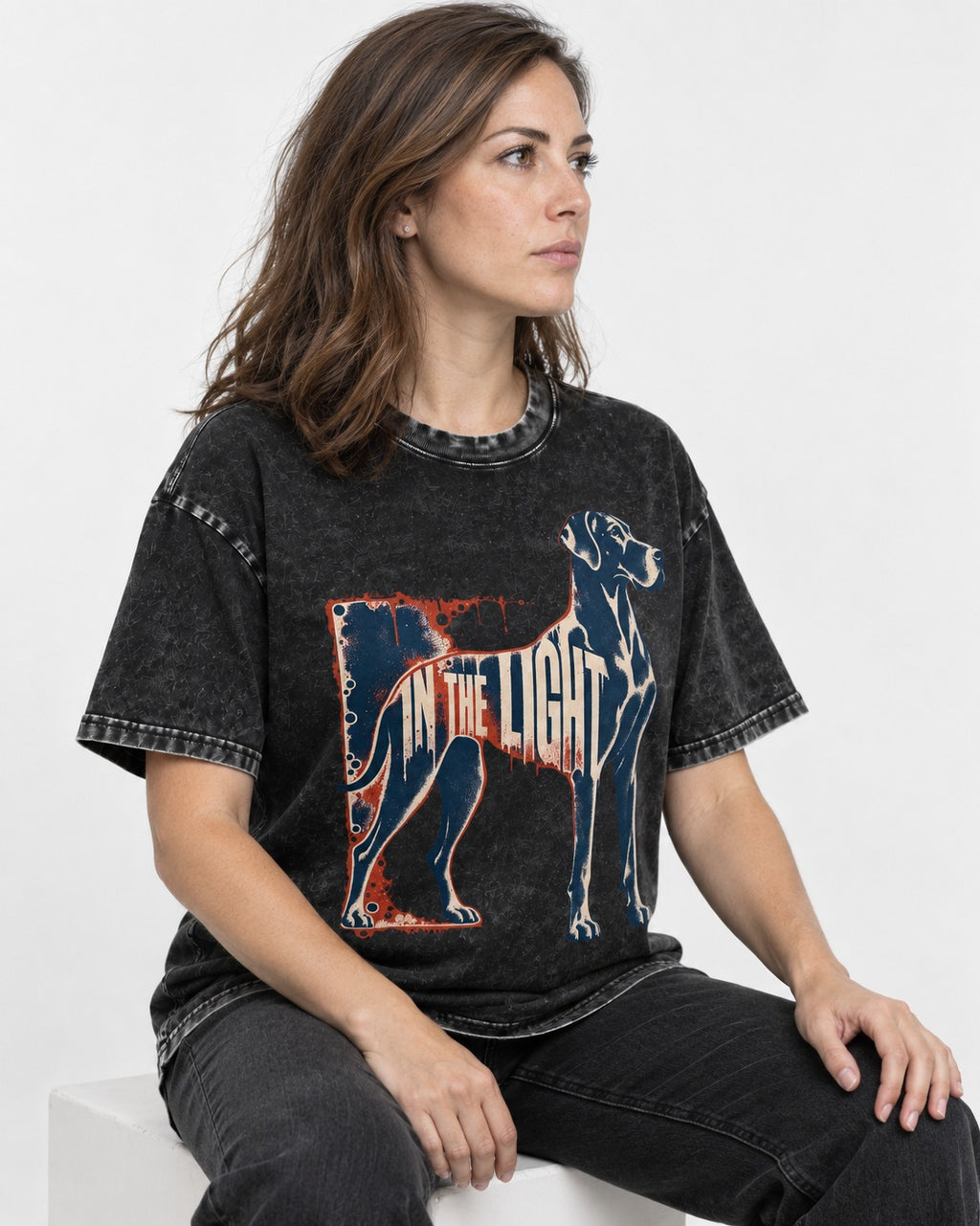 Great Dane In the Light Industrial Frame Graphic Washed Tee in Black, worn by a seated model