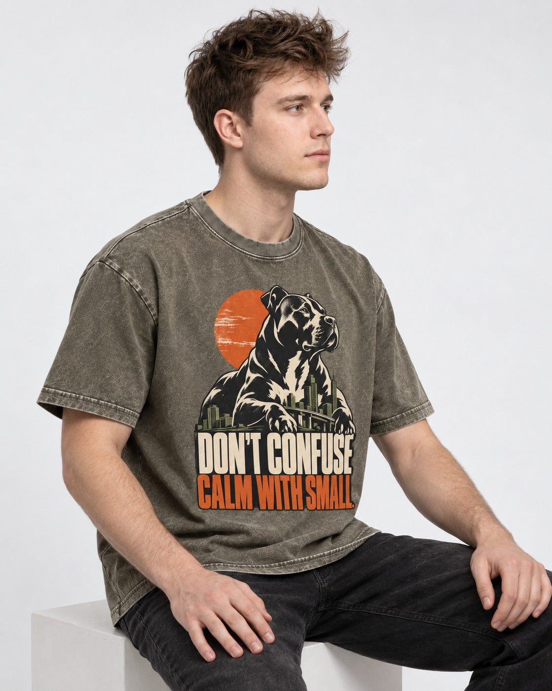 Pitbull Don't Confuse Calm with Small City Guardian Graphic Washed Tee in Army Green, worn by a seated model