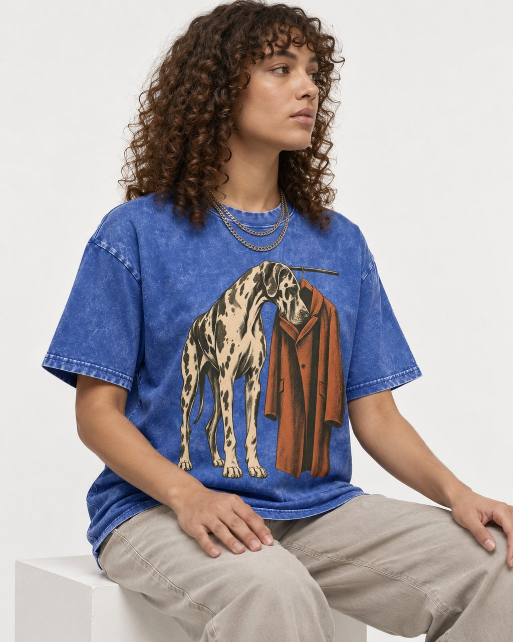 Great Dane Harlequin Coat Rack Overcoat Graphic Washed Tee in Royal Blue, worn by a seated model